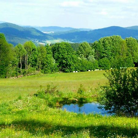 Berggasthof Schoen Patersdorf Esterno foto