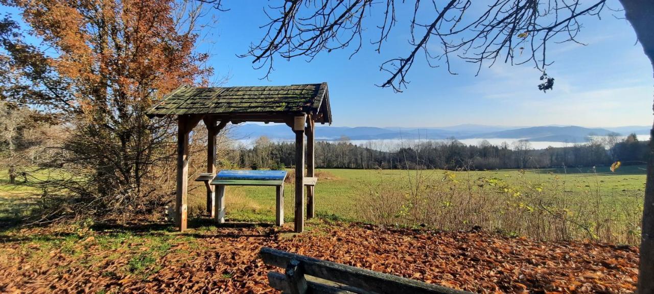 Berggasthof Schoen Patersdorf Esterno foto