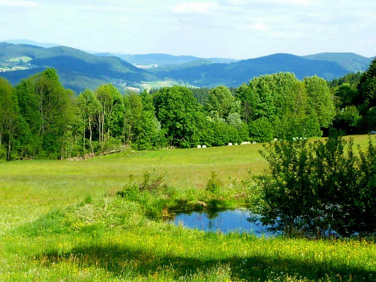 Berggasthof Schoen Patersdorf Esterno foto